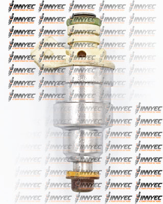 02I0021 Inyector Ford Mercury