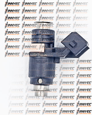 04F0009 Inyector Renault